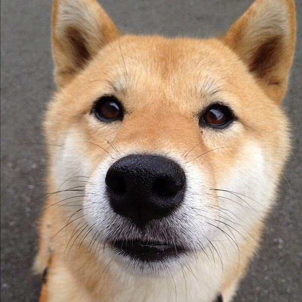 随机杭州举办全国青少年篮球联赛,培养未来之星,杭州青少年篮球比赛