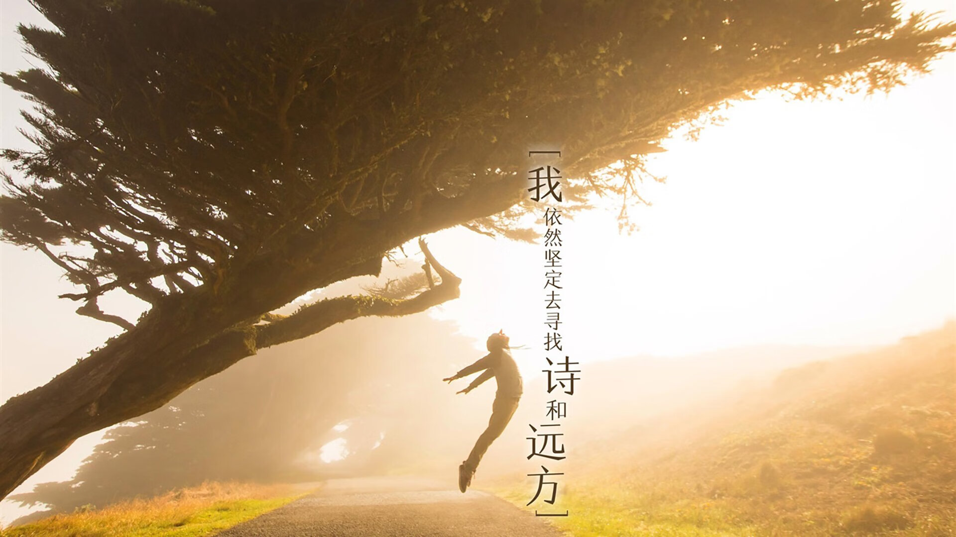 随机西甲比赛中，精彩进球和关键扑救成为赛场焦点，西甲球队进球纪录