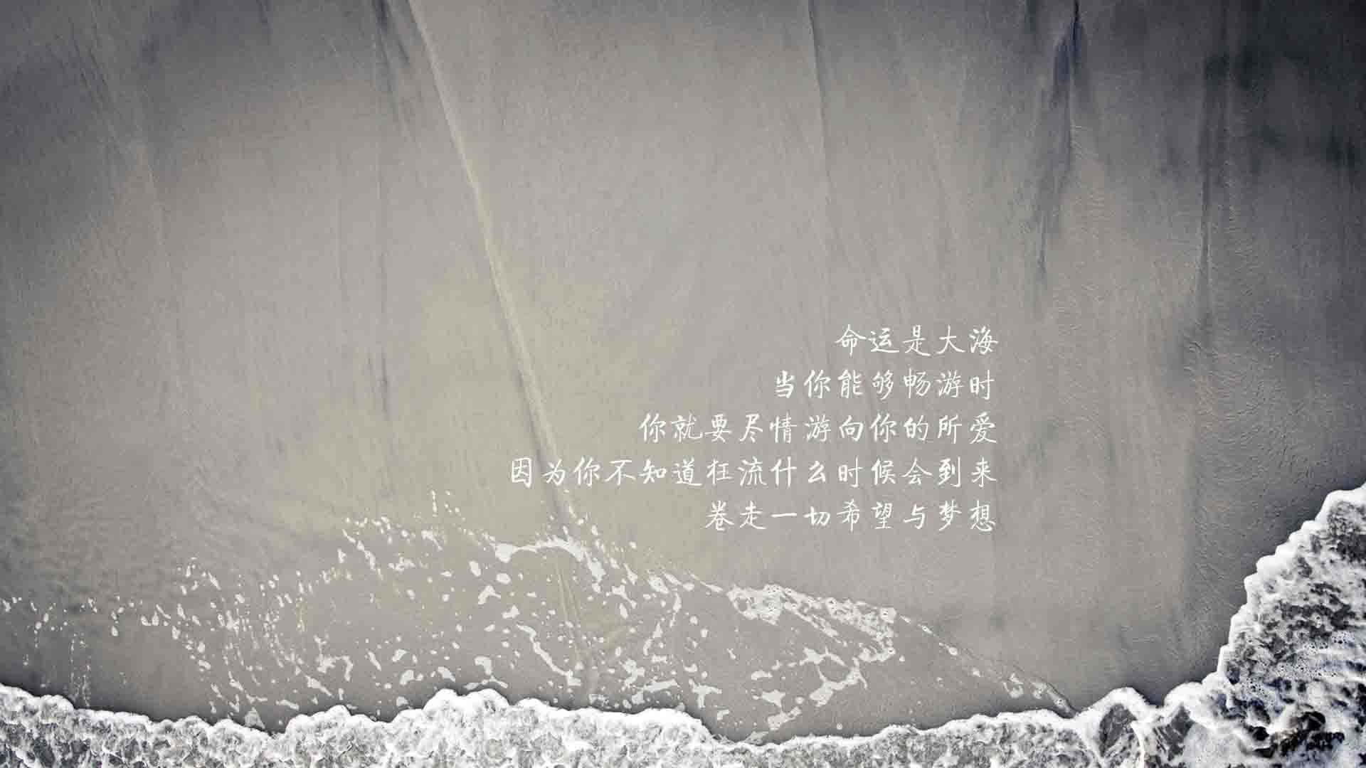 随机那些年我们追过的赛事：感动与激情的交织，感动的比赛