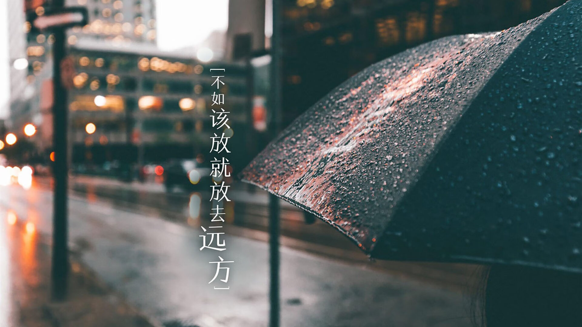 随机切尔西新星闪耀欧冠，帕尔默进球技惊四座，切尔西守门员凯帕