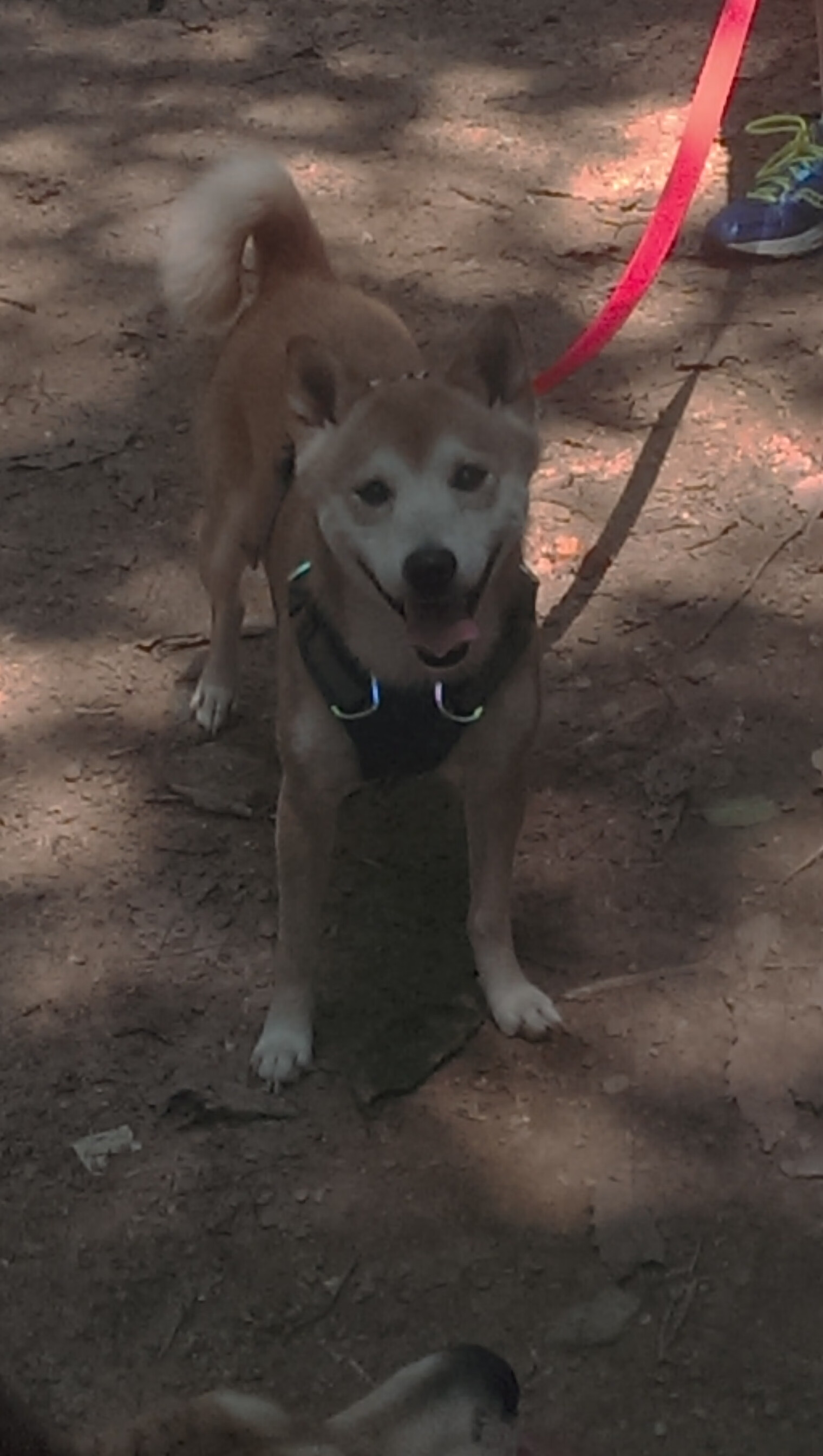 随机联盟是否应改革现有工资帽制度,联盟硬工资帽