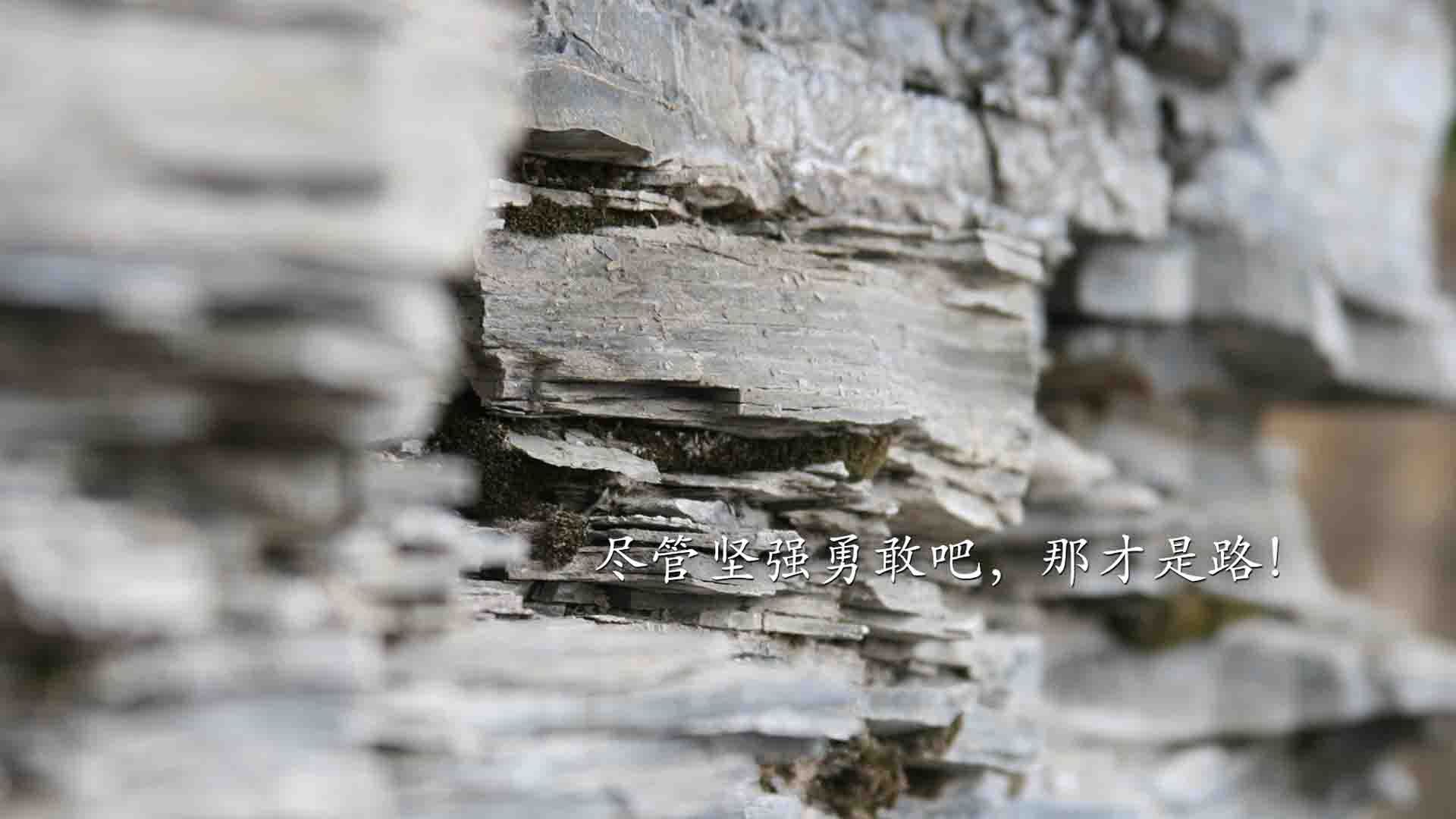 九游网页版入口-奥预赛中国青年队平局 球员心理抗压能力受关注