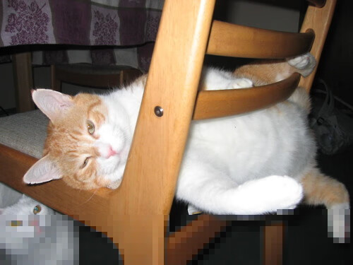 九游登录中心-掘金主教练强调重视防守执行提升比赛强度,掘金球员介绍