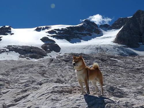 九游游戏中心-球星公益之旅走进学校，激励青少年参与体育，体育明星公益