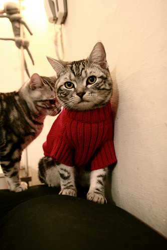 JiuyouAPP下载-英超铁血战斗:每米场地都在创造奇迹,英超铁锤帮是谁