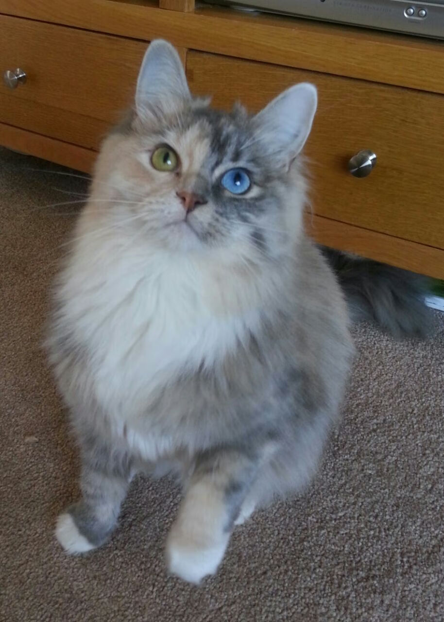 九游网游官网-英超铁血防守：坚不可摧的后防线彰显实力，英超当下最流行的战术打法, 或将引领世界足球潮流!